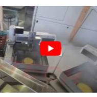 A Tech Pineapple Intelligent Cutting Sorter System